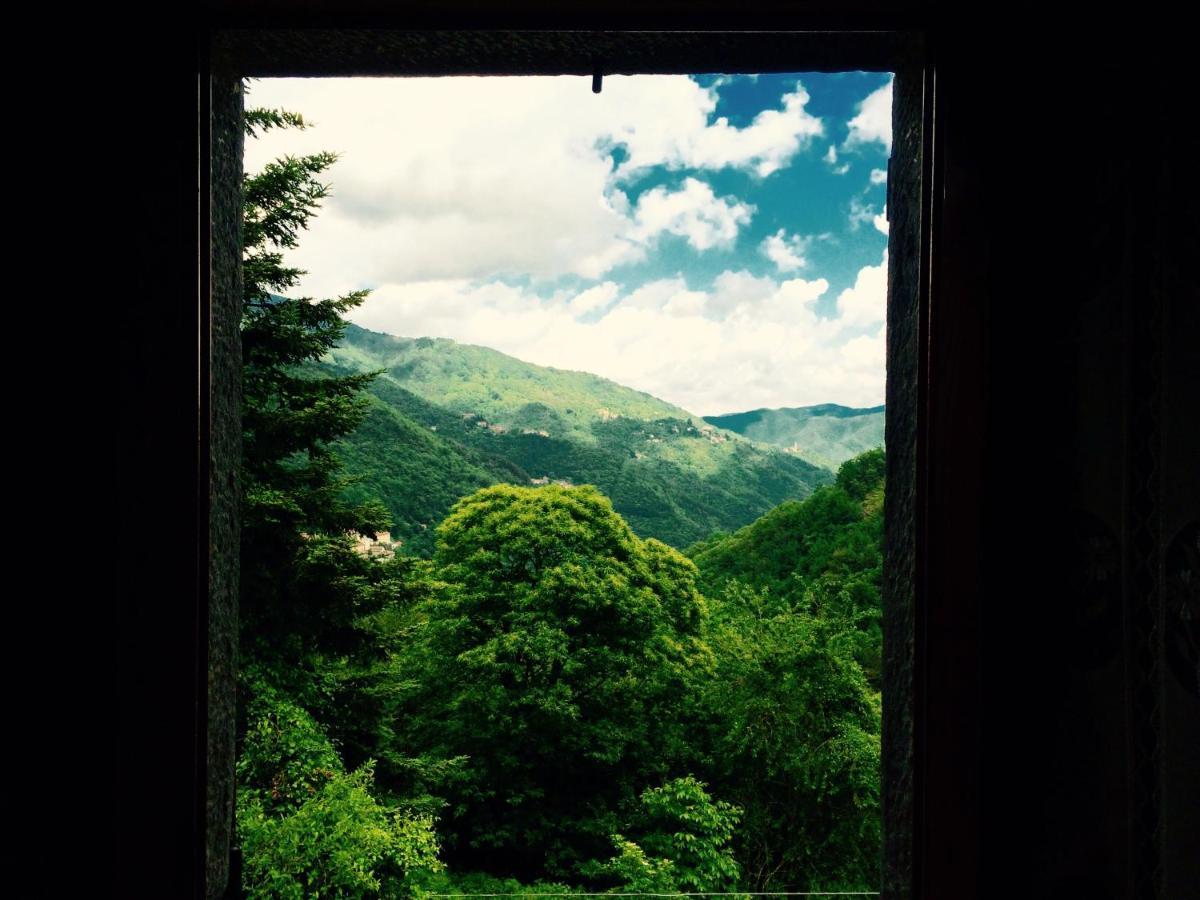La Presa *