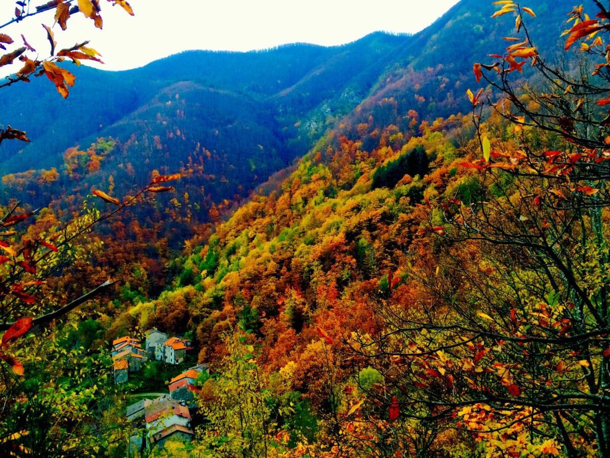 Bed & Breakfast La Presa Molino del Pallone